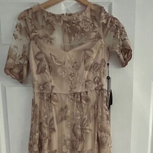 Adrianna Papell Rose Quartz Dress